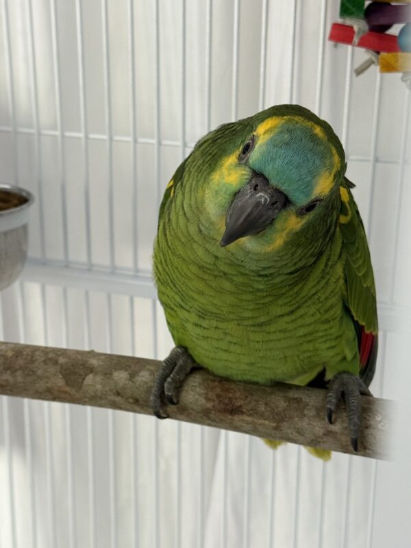 Image #1 from Robert Kellner