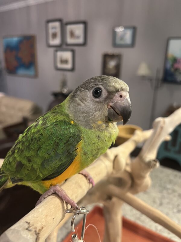 Image #1 from Diana Shirley