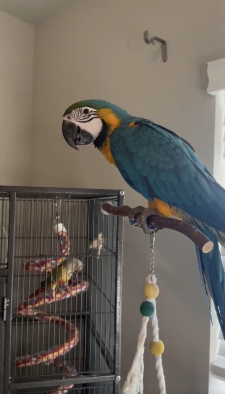 Image #1 from Zhoayuan Jiang