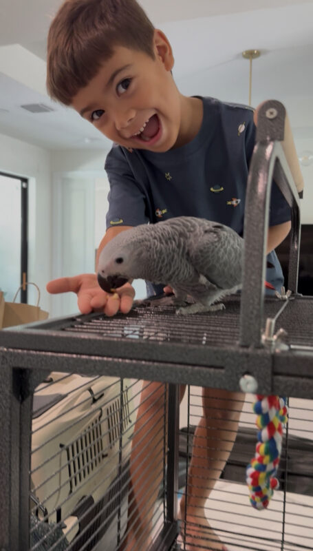 Image #1 from Jenny Crossier