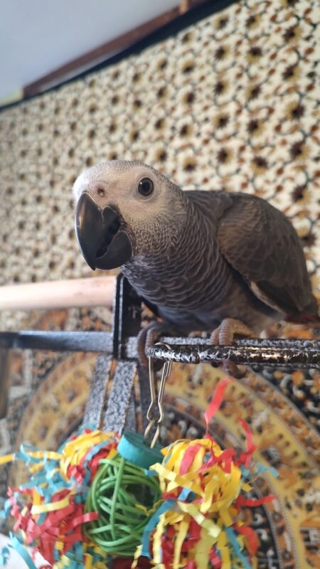 Image #3 from Sandy House