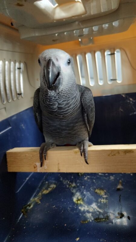 Image #2 from Sandy House