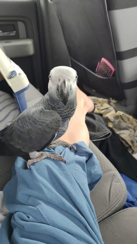 Image #1 from Sandy House