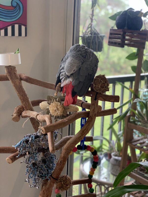 Image #1 from Barb Bryant