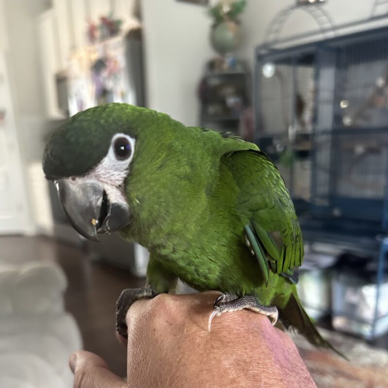 Image #1 from Jim Sullivan