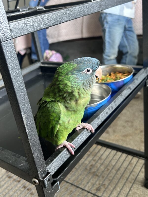 Image #1 from Ana Andaya