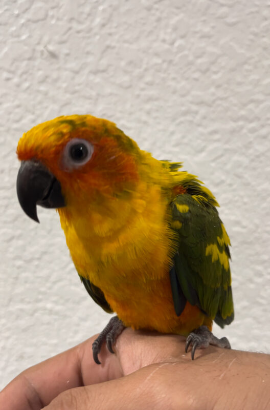 Image #1 from John Bomnin