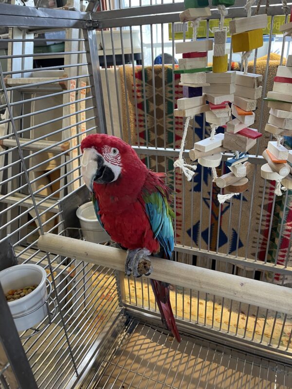 Image #1 from Sheltlinn Redding