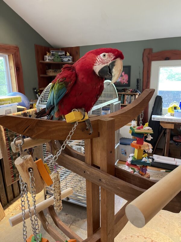 Image #3 from Sheltlinn Redding