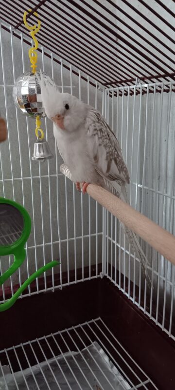 Image #1 from Susan Parker