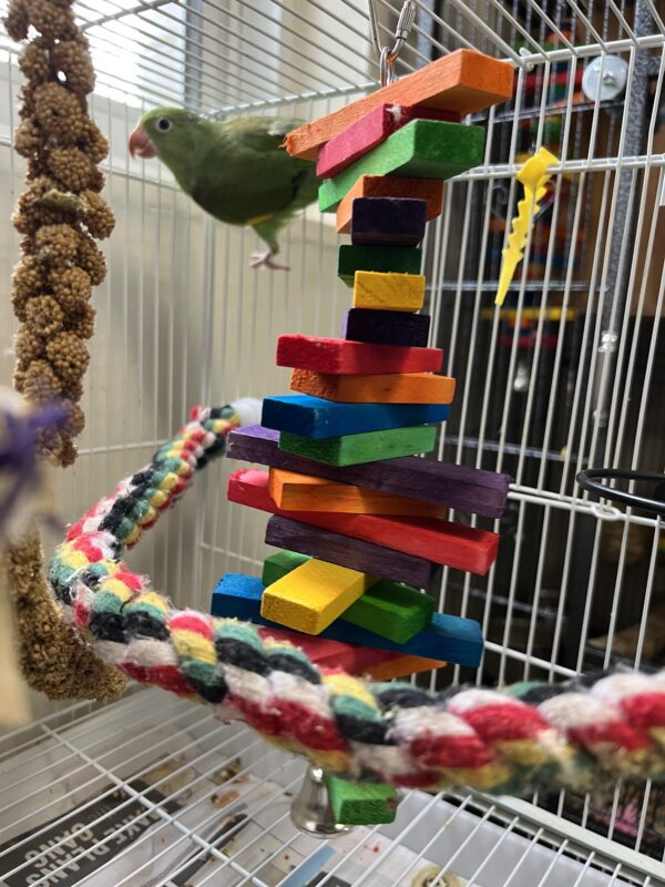 Image #1 from Frank S.