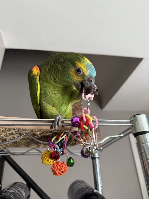 Image #1 from Ray Vasquez