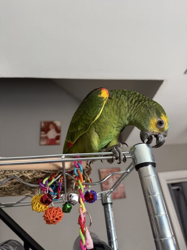 Image #2 from Ray Vasquez