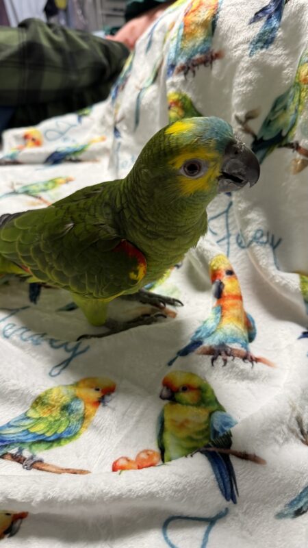 Image #3 from Ray Vasquez